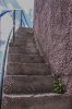 8/IMG_0378 site.jpg